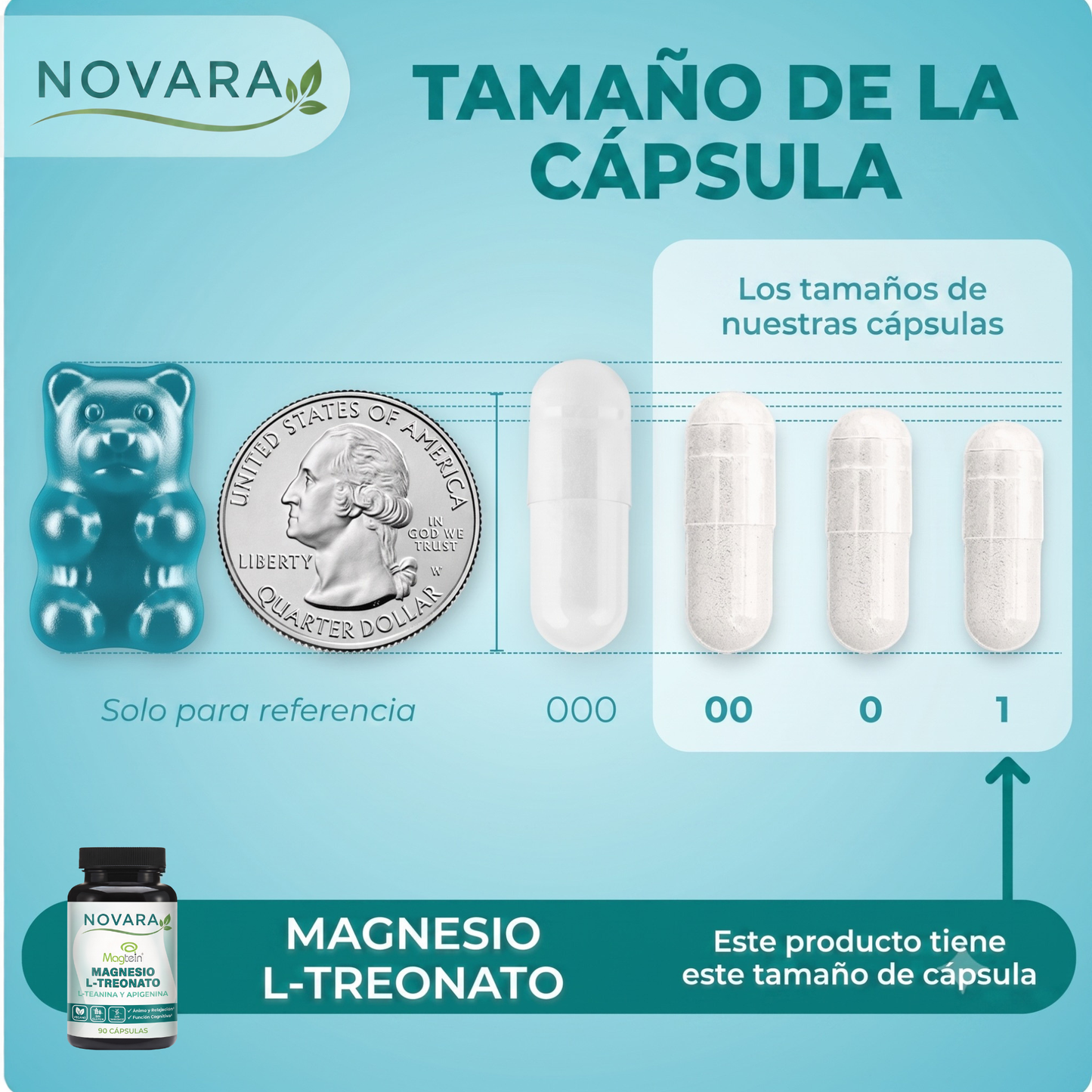 Complejo de L-Treonato de Magnesio
